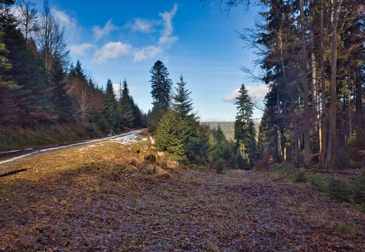 20220205202143-d4d0a45c